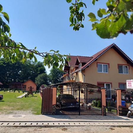 Pensiunea Sonia Cîrţişoara Exteriör bild