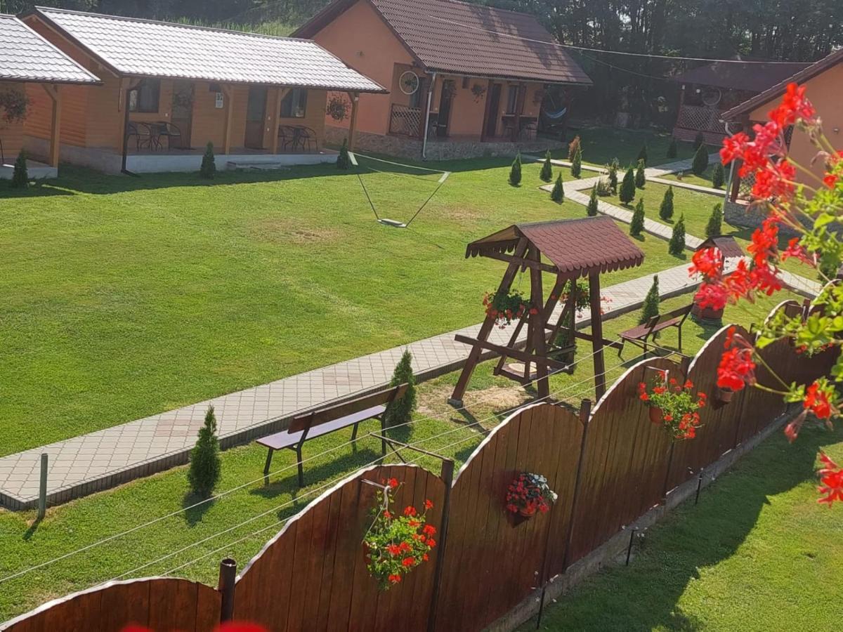 Pensiunea Sonia Cîrţişoara Exteriör bild