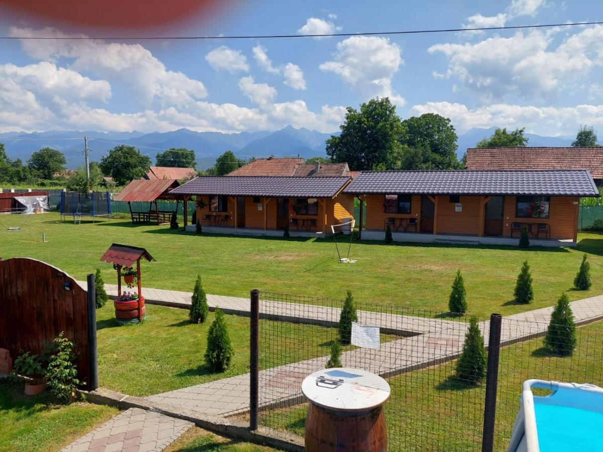 Pensiunea Sonia Cîrţişoara Exteriör bild
