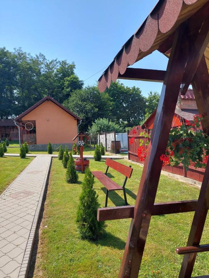 Pensiunea Sonia Cîrţişoara Exteriör bild